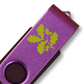 National Trust Twister USB